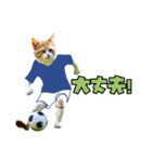 ニャンコのサッカー 猫 ネコ 日常（個別スタンプ：4）