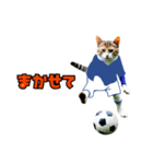 ニャンコのサッカー 猫 ネコ 日常（個別スタンプ：5）