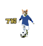 ニャンコのサッカー 猫 ネコ 日常（個別スタンプ：6）
