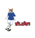 ニャンコのサッカー 猫 ネコ 日常（個別スタンプ：7）