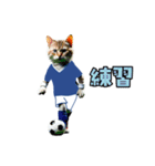 ニャンコのサッカー 猫 ネコ 日常（個別スタンプ：9）