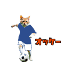ニャンコのサッカー 猫 ネコ 日常（個別スタンプ：10）
