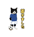 ニャンコのサッカー 猫 ネコ 日常（個別スタンプ：15）