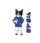 ニャンコのサッカー 猫 ネコ 日常（個別スタンプ：16）