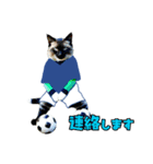 ニャンコのサッカー 猫 ネコ 日常（個別スタンプ：18）