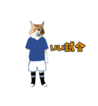 ニャンコのサッカー 猫 ネコ 日常（個別スタンプ：19）
