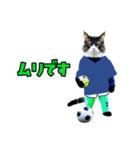 ニャンコのサッカー 猫 ネコ 日常（個別スタンプ：21）