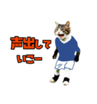 ニャンコのサッカー 猫 ネコ 日常（個別スタンプ：23）