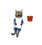 ニャンコのサッカー 猫 ネコ 日常（個別スタンプ：24）
