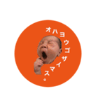 i am タイガ 。（個別スタンプ：5）
