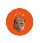 i am タイガ 。（個別スタンプ：21）