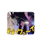 JJ ARTすたんぷ（個別スタンプ：3）