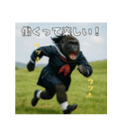 ゾス！意識高いギャルゴリラ！エッホ！（個別スタンプ：25）