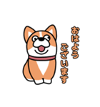 斜視コギ②（個別スタンプ：1）