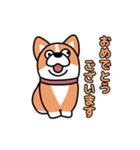 斜視コギ②（個別スタンプ：4）