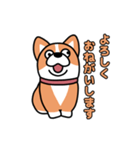 斜視コギ②（個別スタンプ：8）