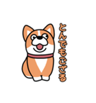 斜視コギ②（個別スタンプ：10）