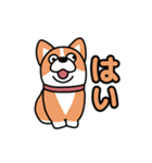 斜視コギ②（個別スタンプ：13）