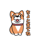 斜視コギ②（個別スタンプ：25）
