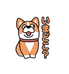 斜視コギ②（個別スタンプ：28）
