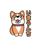 斜視コギ②（個別スタンプ：29）