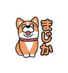 斜視コギ②（個別スタンプ：30）