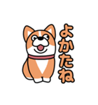 斜視コギ②（個別スタンプ：31）
