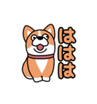 斜視コギ②（個別スタンプ：37）