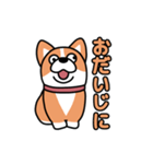 斜視コギ②（個別スタンプ：38）