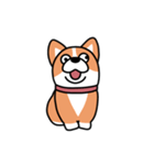 斜視コギ②（個別スタンプ：40）
