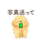 恋人を束縛するかまってちゃん犬（個別スタンプ：23）