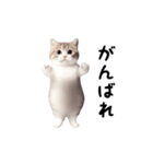踊る♪ねこ（個別スタンプ：11）