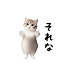 踊る♪ねこ（個別スタンプ：15）