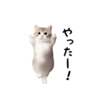 踊る♪ねこ（個別スタンプ：17）