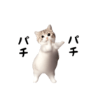 踊る♪ねこ（個別スタンプ：19）
