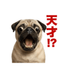 動物で驚愕（個別スタンプ：17）