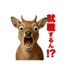 動物で驚愕（個別スタンプ：22）