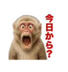 動物で驚愕（個別スタンプ：28）