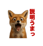 動物で驚愕（個別スタンプ：39）