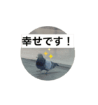 生きてるっていいね！（個別スタンプ：1）