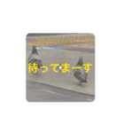 生きてるっていいね！（個別スタンプ：5）