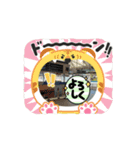 生きてるっていいね！（個別スタンプ：6）