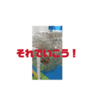 OK！OK！Oh！OK！（個別スタンプ：2）