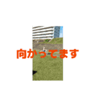 OK！OK！Oh！OK！（個別スタンプ：8）