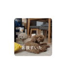 そらレオン動くよ（個別スタンプ：2）