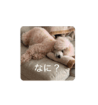 そらレオン動くよ（個別スタンプ：4）