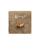 そらレオン動くよ（個別スタンプ：14）