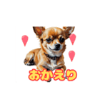 チワワ好きさんと犬好きさんに動く（個別スタンプ：3）