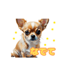 チワワ好きさんと犬好きさんに動く（個別スタンプ：7）