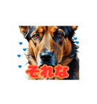 チワワ好きさんと犬好きさんに動く（個別スタンプ：9）